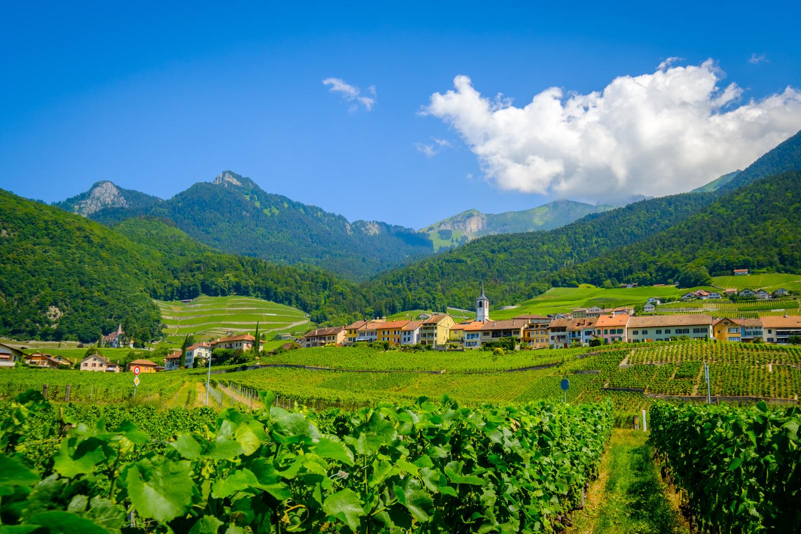 What to see in Geneva? Discover the City’s Must-Visit Attractions!